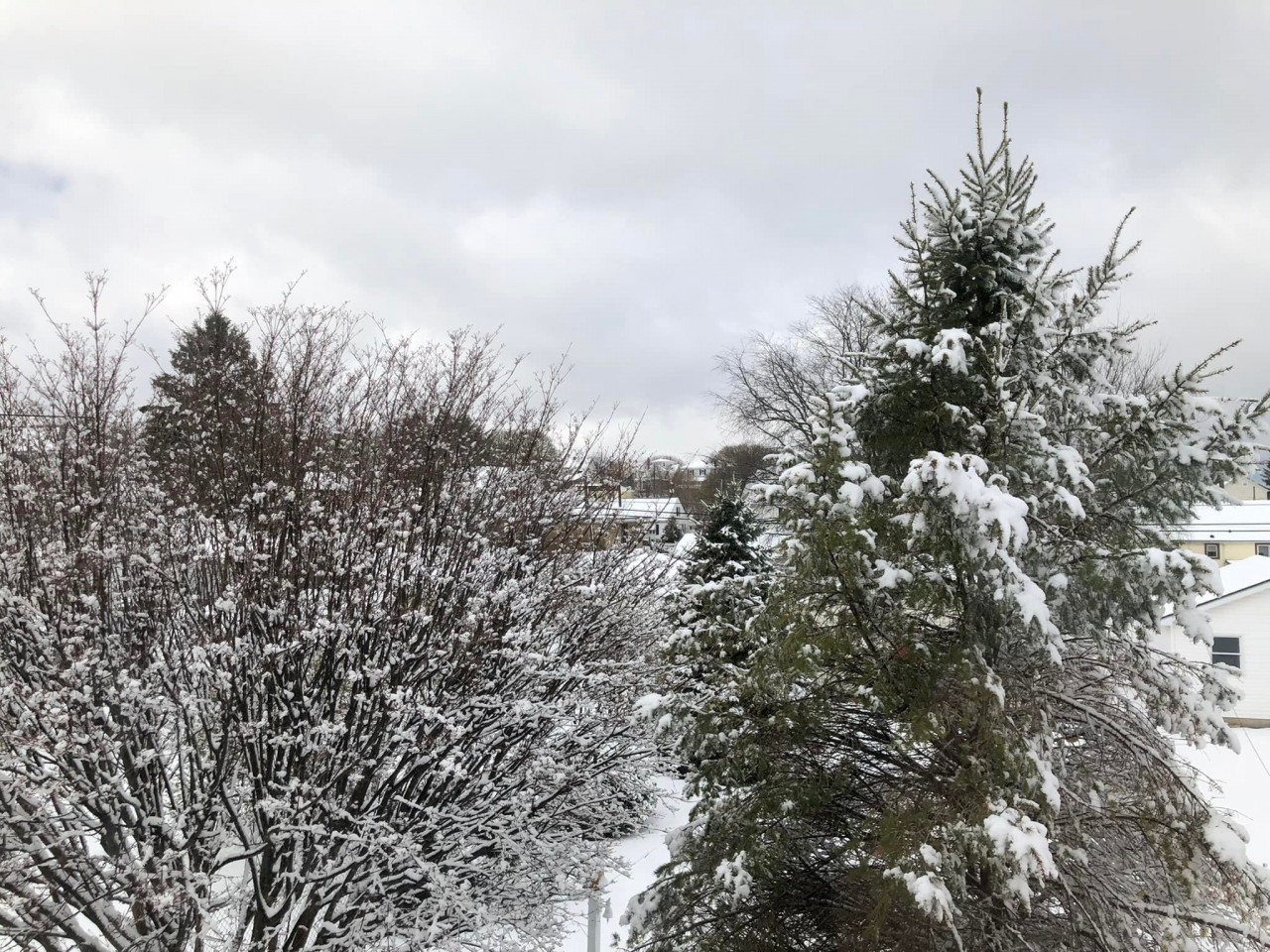 Life Inside the Page April 2022 Snow